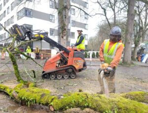 ArborPro crew member in orange safety gear using a chainsaw to cut a moss-covered fallen tree while a coworker operates a Ditch Witch mini skid steer to remove debris at a Portland commercial property.