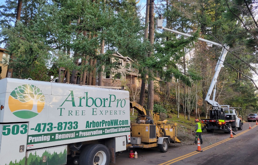 ArborPro crew using bucket truck for tree pruning near Portland home.