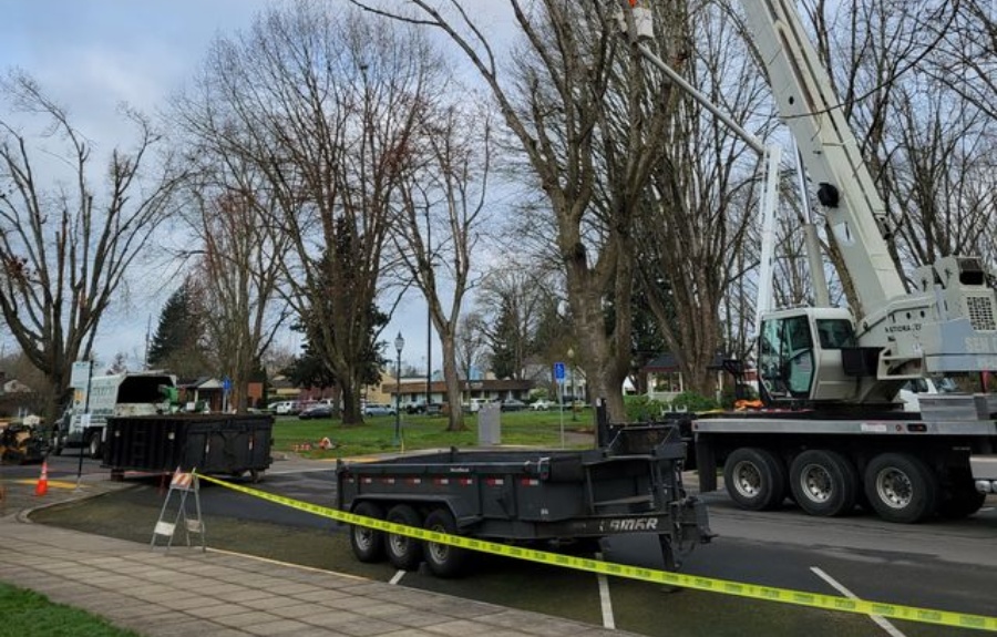 ArborPro crane truck extended above mature trees in a Portland park with caution tape securing the work zone, dump trailer, and support vehicles staged on the street.