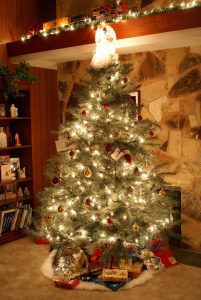 Read more about the article History O’ Christmas Tree