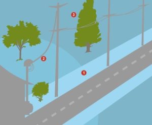Read more about the article Trees and Power Lines, A Dangerous Duo
