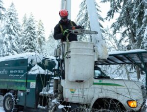 ArborPro arborist operating chainsaw from bucket truck during winter tree pruning demonstrating professional equipment and safety protocols in snowy conditions.