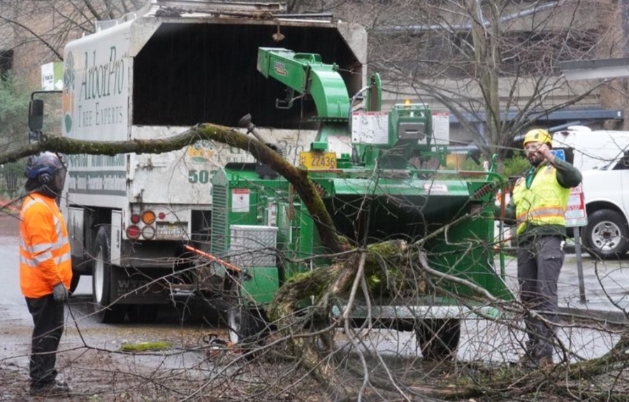 ArborPro tree service crew using a woodchipper to clear storm debris on a Portland street, emphasizing professional response after major weather events.
