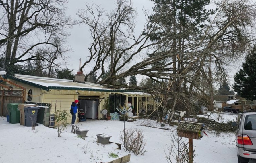 Snow-covered Portland neighborhood with a massive tree fallen onto a home, showing typical winter storm damage requiring emergency tree service.