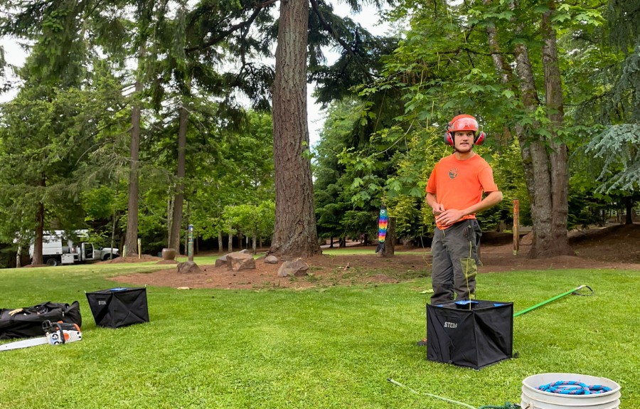 An arborist from ArborPro prepares to perform disease treatment for a tree outside of Portland, OR.