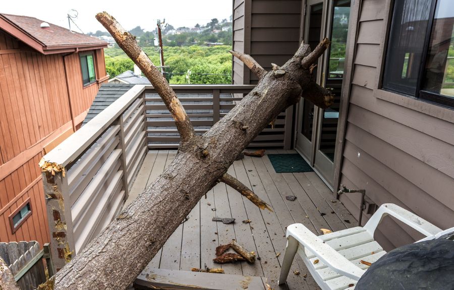 A large tree branch that broke and crashed onto a balcony just outside Portland, OR.