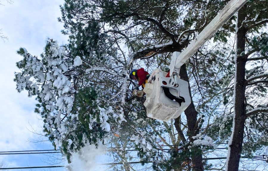 ArborPro using a bucket truck to prune a snow covered tree near West Linn, OR.