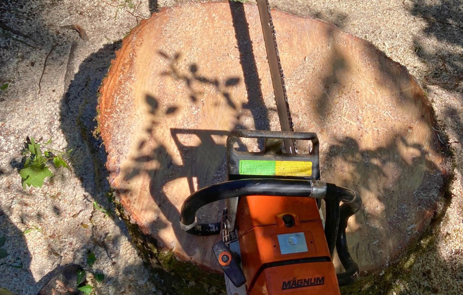 A chainsaw on a stump after tree removal in Beaverton, OR.