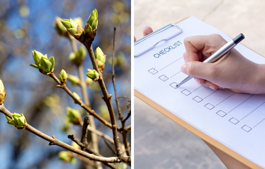 Split image of spring tree buds swelling on a bare branch against a blue sky (left) and a hand holding a pen over a checklist on a clipboard (right).