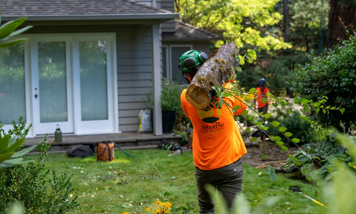ArborPro-website-home-header-summer-summer-storm-cleanup ArborPro-website-home-header-summer-summer-storm-cleanup