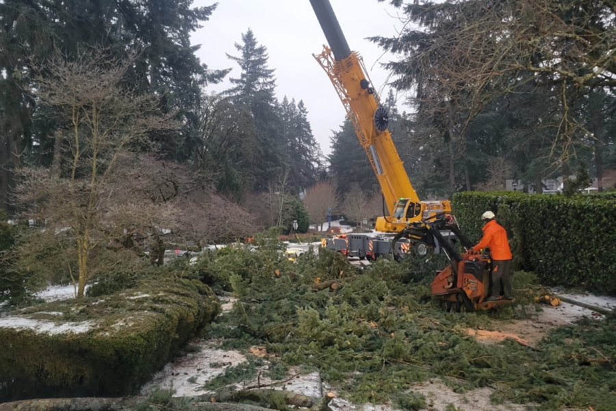 ArborPro ground crew responding to a tree emergency removal after a storm in Portland.