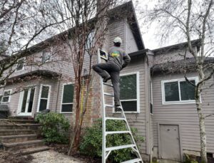 ArborPro Certified Arborist on ladder performing fall pruning on tree branches as part of winter storm preparation in front of Portland area home.