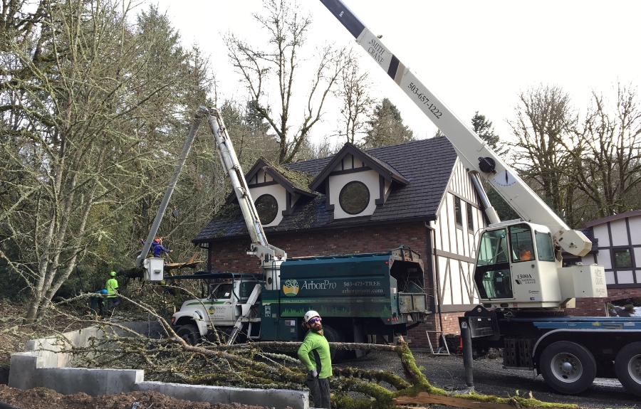ArborPro tree service crew with crane trucks removing large fallen tree and related debris from residential property after Portland winter storm. 